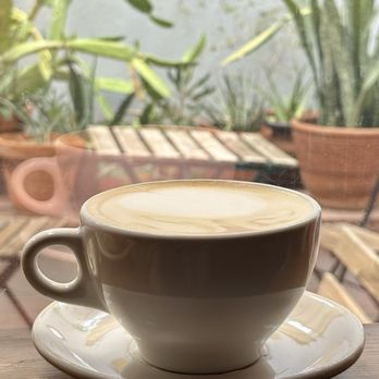 Exo Roast - Coffee Roasteries Near Me - Tucson, Arizona