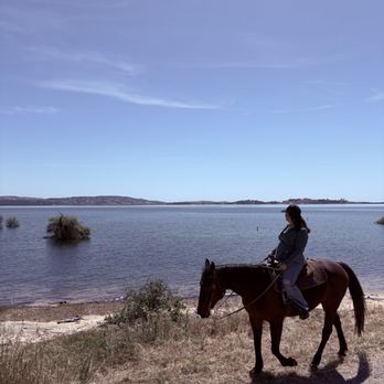 Boarding On The Lake - Horseback Riding Near Me - Granite Bay, California