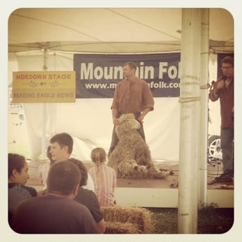 Kutztown Folk Festival - How to: Sheer a Sheep. Yes. - Festivals Near Me Kutztown Folk Festival - How to: Sheer a Sheep. Yes. - Festivals Near Me