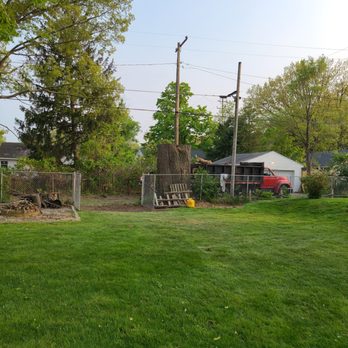 Atkin Tree Service - Tree Services Near Me Atkin Tree Service - Tree Services Near Me