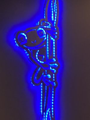 Frog & Slim by null