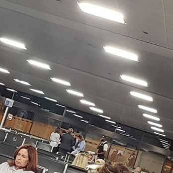 American Airlines - Here they are just hanging out when we wait for our "delayed" flight - Airlines Near Me - Phoenix, Arizona