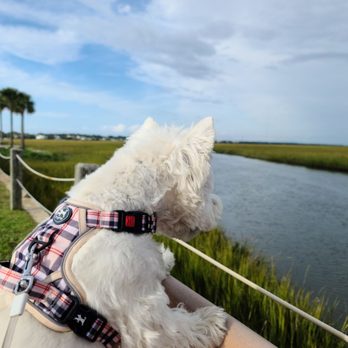 Pitt Street Bridge - Parks Near Me - Mount Pleasant, South Carolina