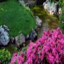 Photo of Thomson's Landscaping