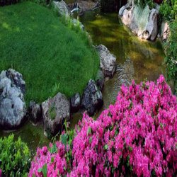 Thomson's Landscaping