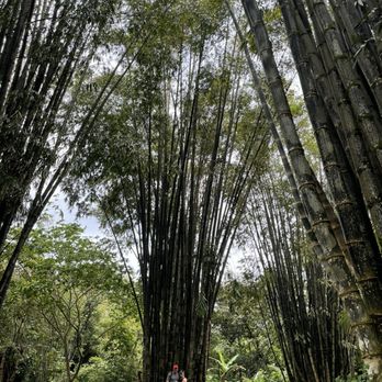 Hike Maui - Tours Near Me - Kahului, Hawaii Hike Maui - Tours Near Me - Kahului, Hawaii