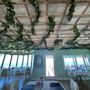 Photo of The Pergola at Golden Magnolia Resort