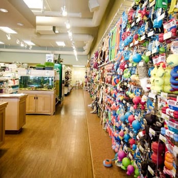 Pet Food 'N More - Come and explore our huge selection of high quality products today! - Pet Stores Near Me - Vancouver, British Columbia Pet Food 'N More - Come and explore our huge selection of high quality products today! - Pet Stores Near Me - Vancouver, British Columbia