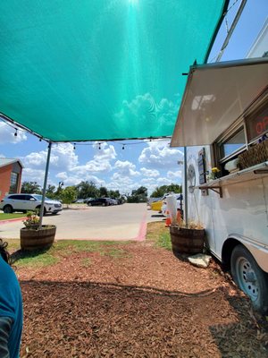 The Black Forest by null