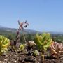 Photo of J. Rickards Winery