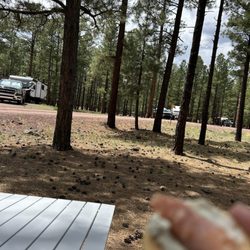 Rolfe C Hoyer - Quiet family oriented camp sites