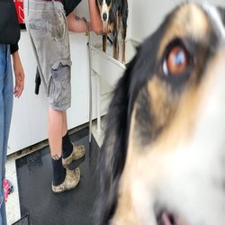Alpha-Dog Pet Centers