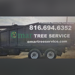 Omar Tree Services
