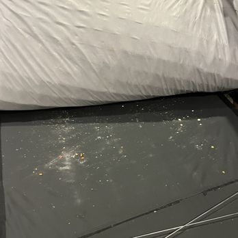 Anna Maria Island Accommodations - Disgusting under the sleeper couch! - Vacation Rentals Near Me - Holmes Beach, Florida