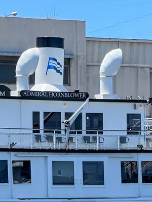 City Cruises by null