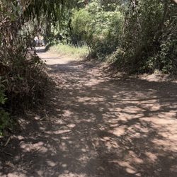 Tar Pits Park