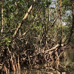 Adventure Kayaking Tours
