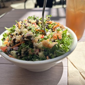 Active Culture - Quinoa Lentil bowl and iced tea - Vegetarian Near Me - Novato, California Active Culture - Quinoa Lentil bowl and iced tea - Vegetarian Near Me - Novato, California