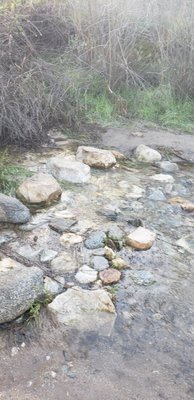 Claremont Hills Wilderness Park by null