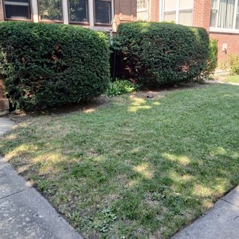 AKUI’s Greener Path - Lawn Services Near Me - Chicago, Illinois AKUI’s Greener Path - Lawn Services Near Me - Chicago, Illinois