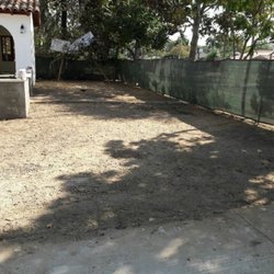 Front yard. Before pictures