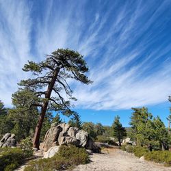Castle Rock Trail