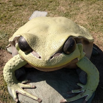 Frog Pad Park - Frog - Parks Near Me - Hercules, California Frog Pad Park - Frog - Parks Near Me - Hercules, California