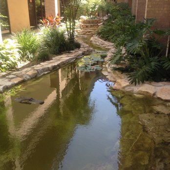 Intuitive Hands - The pond just outside our front door - Pilates Near Me - Austin, Texas Intuitive Hands - The pond just outside our front door - Pilates Near Me - Austin, Texas
