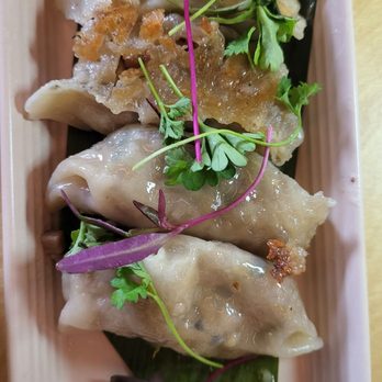 Aya Sushi - Gyoza - Japanese Near Me - Bellaire, Texas Aya Sushi - Gyoza - Japanese Near Me - Bellaire, Texas