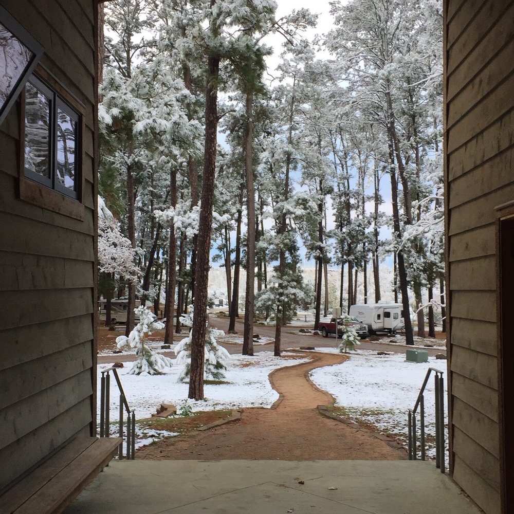 Bastrop State Park - Parks Near Me - Bastrop, Texas