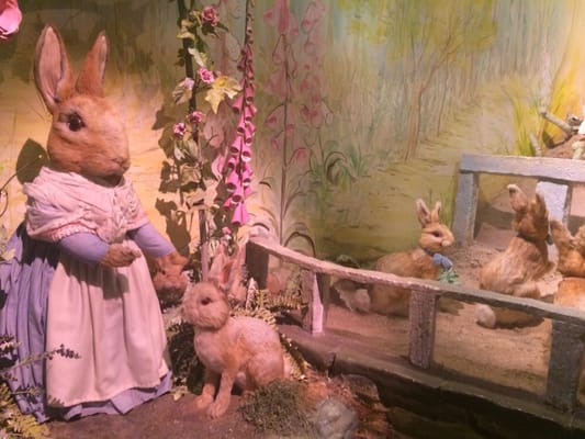 The World of Beatrix Potter Attraction by null