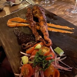 Octopus Octopus