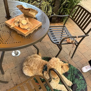 Le Diplomate Cafe - Outside seating - Bakeries Near Me - Irvine, California Le Diplomate Cafe - Outside seating - Bakeries Near Me - Irvine, California