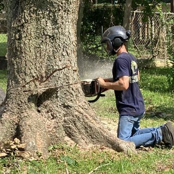Logan’s Tree Service - Tree Services Near Me - New Iberia, Louisiana Logan’s Tree Service - Tree Services Near Me - New Iberia, Louisiana