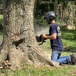 Logan’s Tree Service