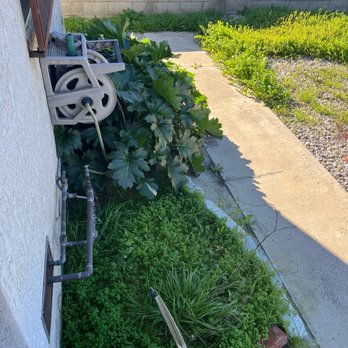 Ruelas Landscaping - Landscaping Near Me