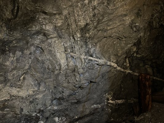 Sierra Silver Mine Tour, Inc. by null