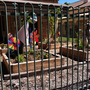 Photo of Unley Kindergarten