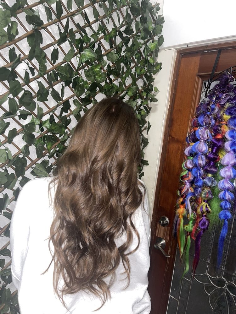 The Blowdrybar Mobile Concierge Hair Service Logo