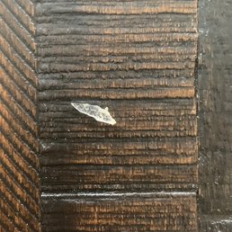 Chiseled plastic mixed into my salad on 07/30/2020