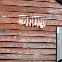 Chicken hanging on outside of building