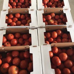 Krueger Family Peppers & Produce - Field run beefsteak tomatoes