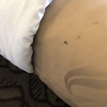 Quality Inn Kirksville - Work oil and grease stains. - Hotels Near Me - Kirksville, Missouri Quality Inn Kirksville - Work oil and grease stains. - Hotels Near Me - Kirksville, Missouri