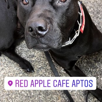Red Apple Cafe - Breakfast & Brunch Near Me - Aptos, California Red Apple Cafe - Breakfast & Brunch Near Me - Aptos, California