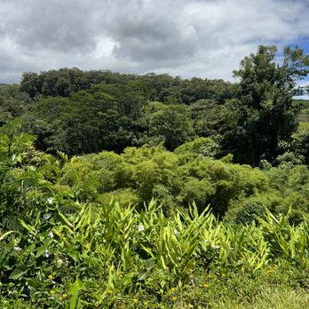 Akaka Falls State Park - Parks Near Me - Honomu, Hawaii Akaka Falls State Park - Parks Near Me - Honomu, Hawaii