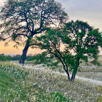 Sensorio - Art Galleries Near Me - Paso Robles, California Sensorio - Art Galleries Near Me - Paso Robles, California