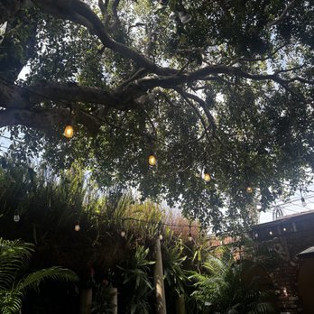 Coffee Connection - Patio - Coffee & Tea Near Me - Los Angeles, California Coffee Connection - Patio - Coffee & Tea Near Me - Los Angeles, California
