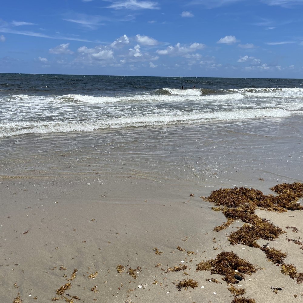 Oceanfront Park - Beaches Near Me - Ocean Ridge, Florida Oceanfront Park - Beaches Near Me - Ocean Ridge, Florida