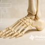 Photo of Proliance Orthopedic Associates