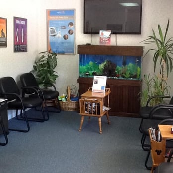 Frank A Torrelli Sr, DC - Chiropractors Near Me - Alden, New York